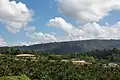 Tukok Hill Estate.
