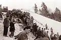 Spectators lining the hill in Planica, 1960