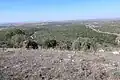 Tell ej-Judeideh, looking west