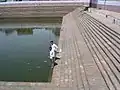 Temple pond on way to Thiruvalllur, Tamil Nadu