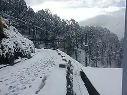 A snowy day