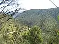 The Barry Way snakes its way through the Australian Alps.