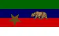Digital reconstruction of the Bear Flag described in the Bettmann Archive[49]