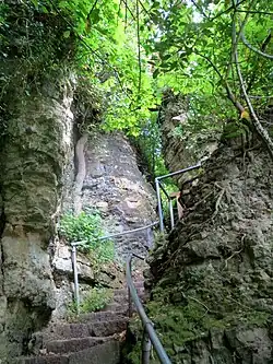 Ascending view
