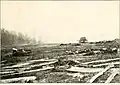 Dead Confederate artillery horses and dead Confederates[16]