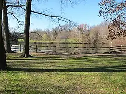 The Duck Pond.
