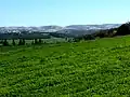 Elah Valley, en route to Tel Socho