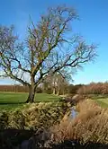The Fleet river near Appleton Roebuck