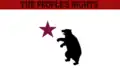 Digital reconstruction of the Bear Flag described by the Sacramento Transcript[44]
