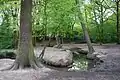 Prittle Brook in Belfairs Wood