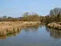 East Aston Common