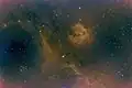 Amateur image of the Seagull Nebula, taken with the Stellarvue SV102 Access refractor