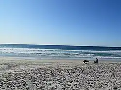 Carmel Bay on a sunny afternoon