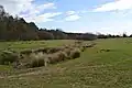 Tingewick Meadows