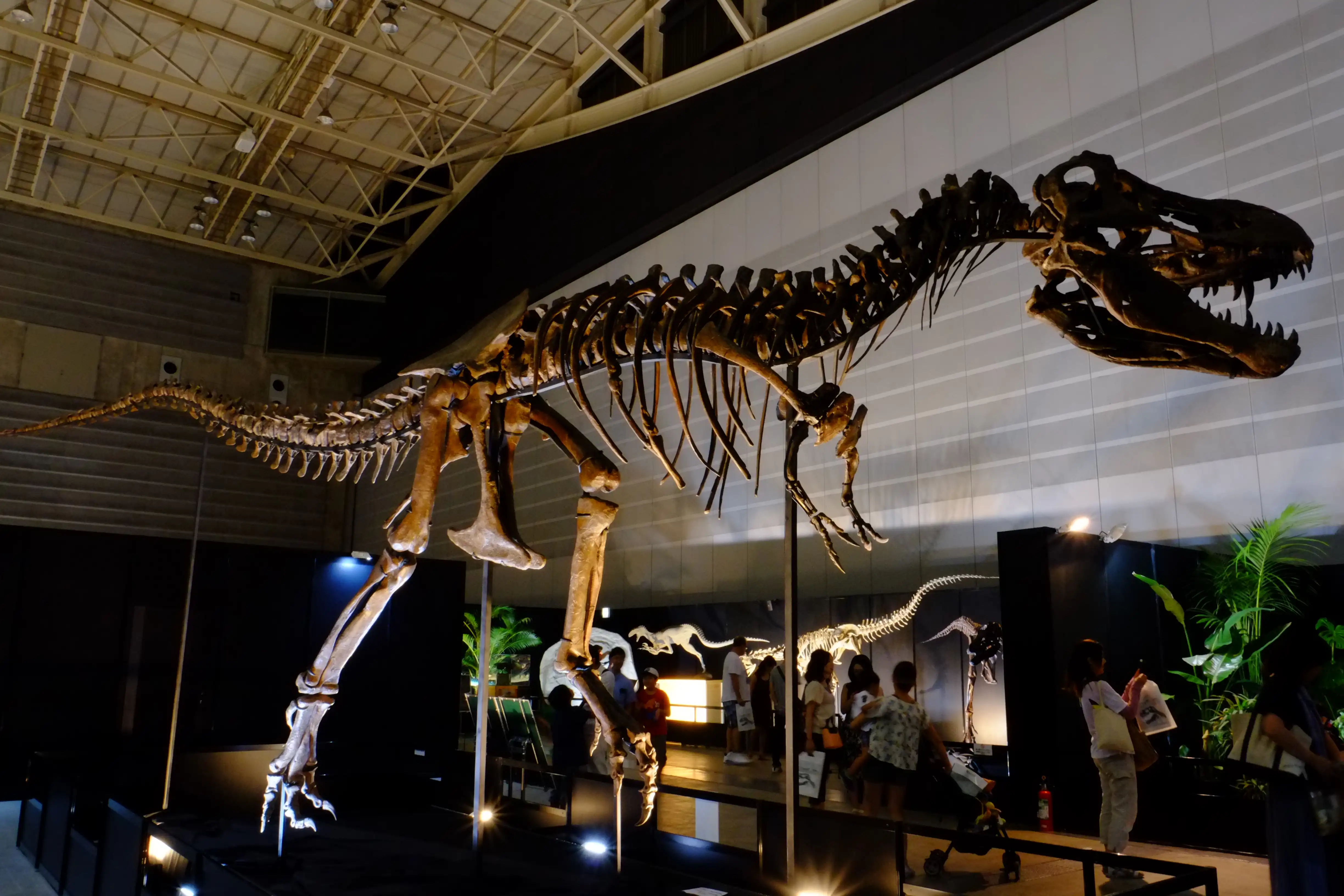 Tinker the T. rex