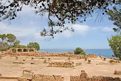 Basilica of St. Crispinus