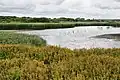 Titchfield Haven
