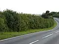 Tolethorpe Road Verges