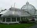 The Tollcross Winter Gardens in 2008.