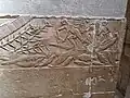 Fishing on a papyrus boat