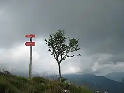 The top of Rogatec