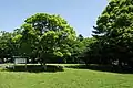 Site of the Kōdō