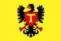 Flag of Toul