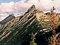 Tower Mountain (centered) and Golden Horn (left)