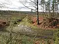 Lavington Common