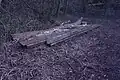 Tram track in Manor Farm Park (formerly Northfield Manor House grounds), Selly Oak.
