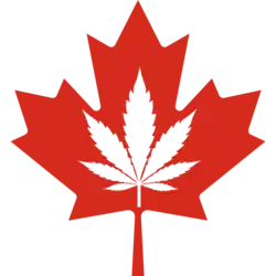 Cannabis