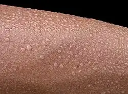 Close-up of beads of sweat