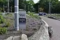 Walkway and pollinator garden in 2022
