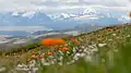 Mountain Altai