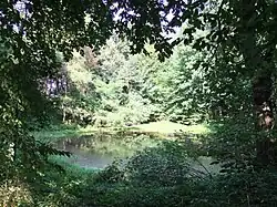 Park
