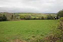 Turfdown fields