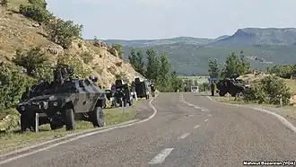 Turkish Cobra in south-eastern Turkey