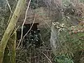Ruin of a still fully intact basement in Turzyniec