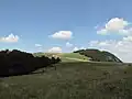 Road panorama