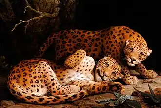 Two Leopards (c. 1776), oil on panel, 90.5 x 137.4&nbsp;cm., private collection