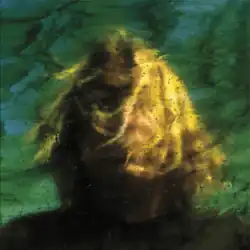 A blurry picture of Ty Segall with some of his hair in front of his face.