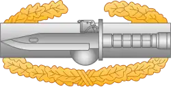 Master Combat Action Badge