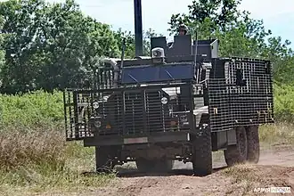 Modified Ukrainian Mastiff