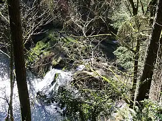 Camas Potholes