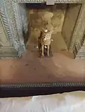 Hunting trophy at Udai Bilas