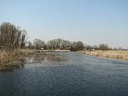Udai River near Pyriatyn