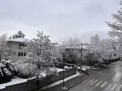 Part of the Višnjik street in winter