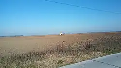 Ulmi