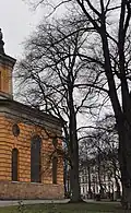 Hedvig Eleonora Church purple-leaved elm, Stockholm, 2014