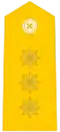 Coronel